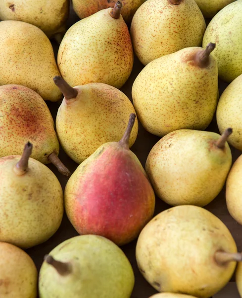 Pears — Stock Photo, Image