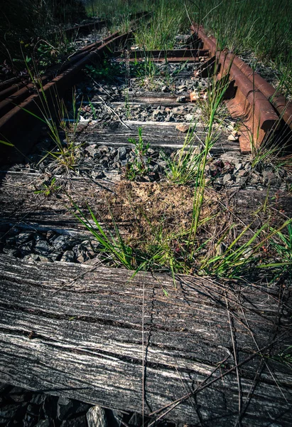 Oude railroad tracks — Stockfoto