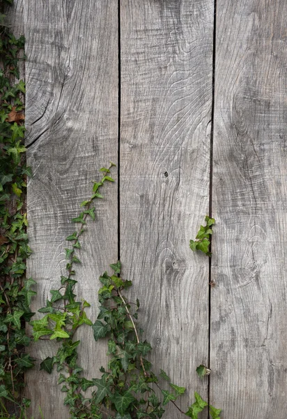 Wooden wall — Stock Photo, Image