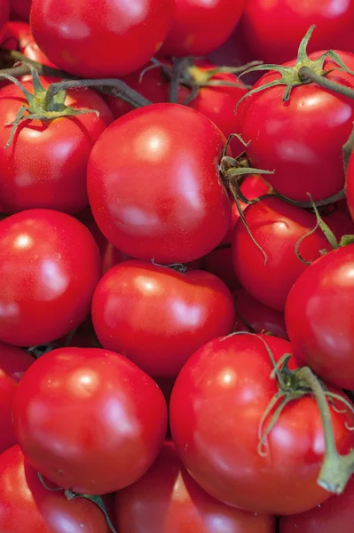 토마토 배경 — 스톡 사진