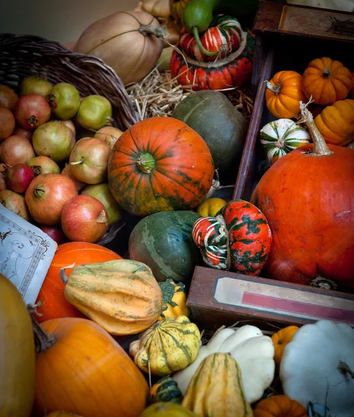 Pumpkins — Stock Photo, Image