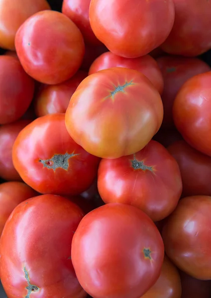 Tomates de salada — Fotografia de Stock