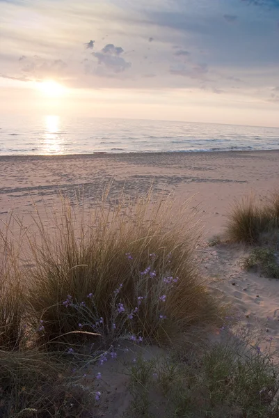 Sunset at the beach — Stock Photo, Image