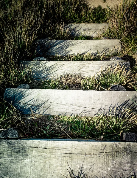 Rustic steps — Stock Photo, Image