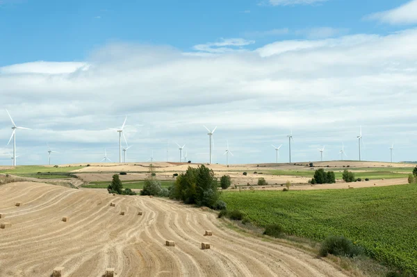 Campi con turbine eoliche — Foto Stock