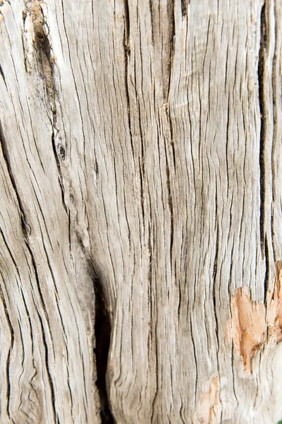 Struttura in legno — Foto Stock