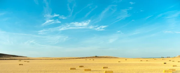 Colheita de trigo em Espanha e — Fotografia de Stock