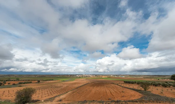 Spanish dry crops — Stock Photo, Image