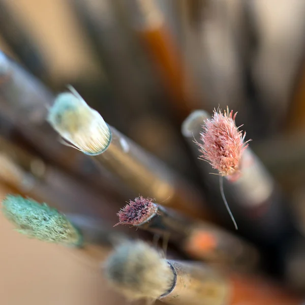 Pincéis de artista — Fotografia de Stock