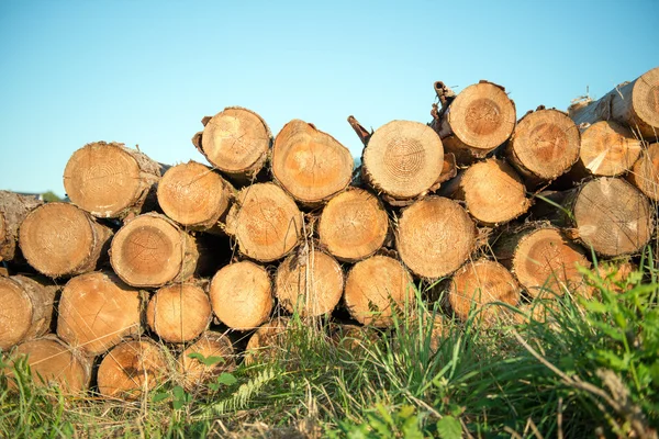 Madera aserrada — Foto de Stock