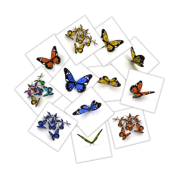 蝶コレクション — ストック写真