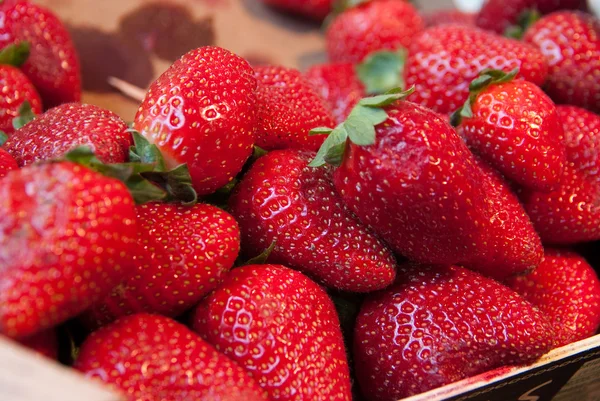 Aardbeien op een marktkraam — Stockfoto