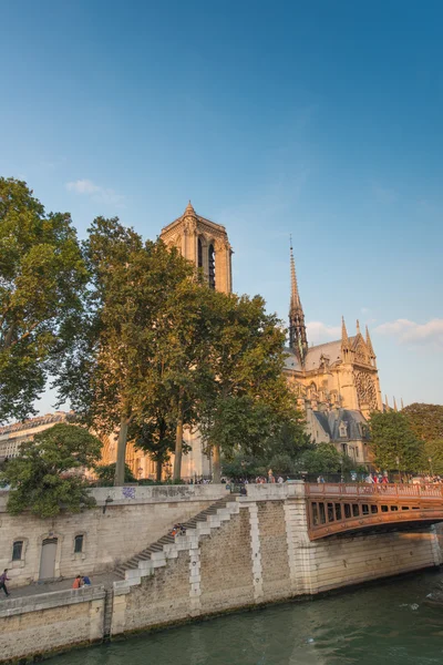 Notre dame de Paris — Stok fotoğraf