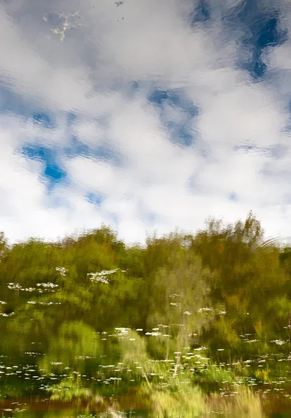 Reflexion der Natur auf einem Fluss — Stockfoto