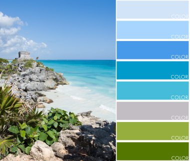 Tulum renk kodu