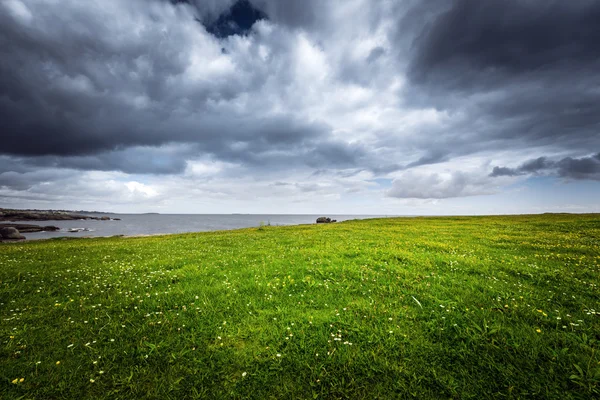 Wiese und Meer — Stockfoto