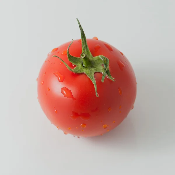 Fresh Tomato — Stock Photo, Image
