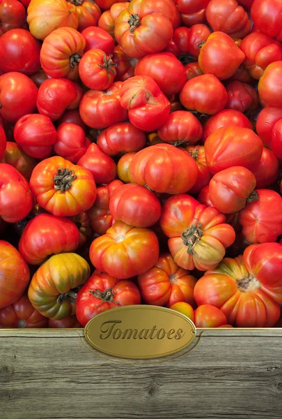 Tomatoes labeled — Stock Photo, Image