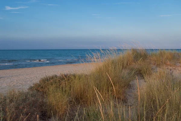 Duna sulla spiaggia — Foto Stock