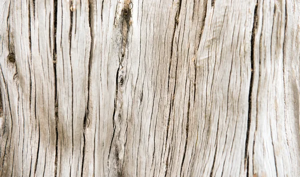 Textura din lemn — Fotografie, imagine de stoc
