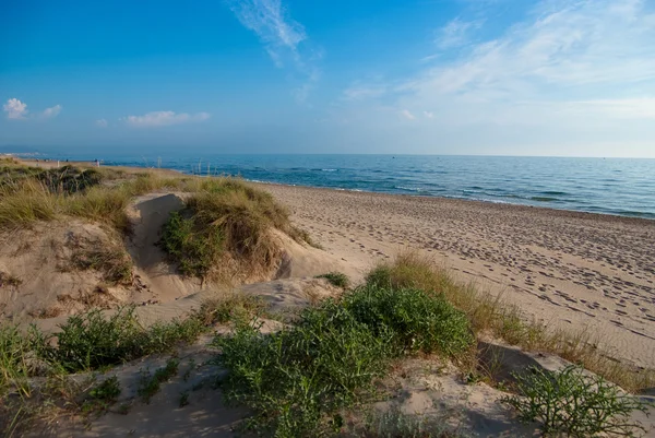 Beach Dune — Stock Photo, Image