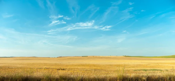 Campos de Mancha — Foto de Stock