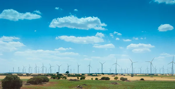 Sähköä tuottavat tuulimyllyt — kuvapankkivalokuva