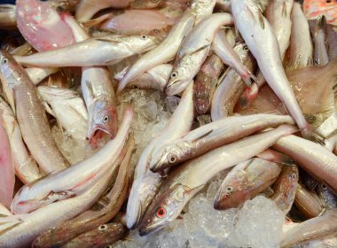 buzda balıkBodegón de pan y té