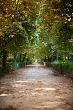 Sonbahar Park'ta