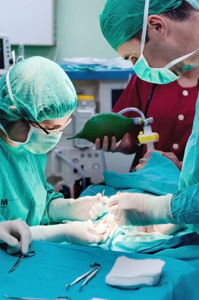 Surgery operation — Stock Photo, Image