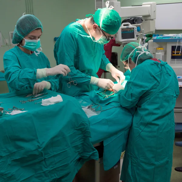 Surgery operation — Stock Photo, Image