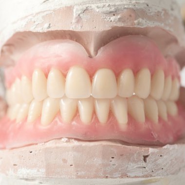 Dental plate detailed clipart