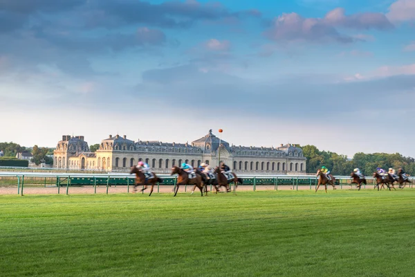 Horserace in Chantilly — Stock Photo, Image