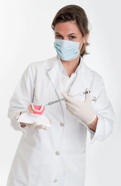 Dentist explanation — Stock Photo, Image