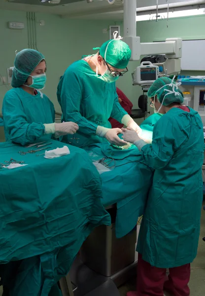 Surgery operation — Stock Photo, Image