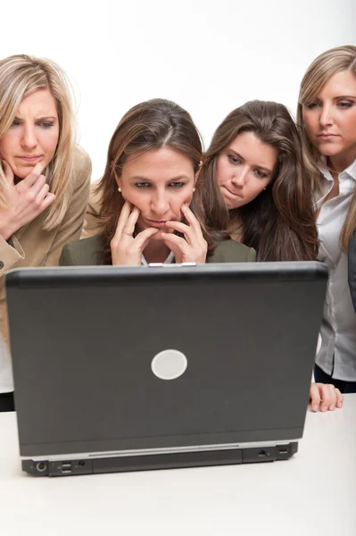 Concentrated female teamwork — Stock Photo, Image