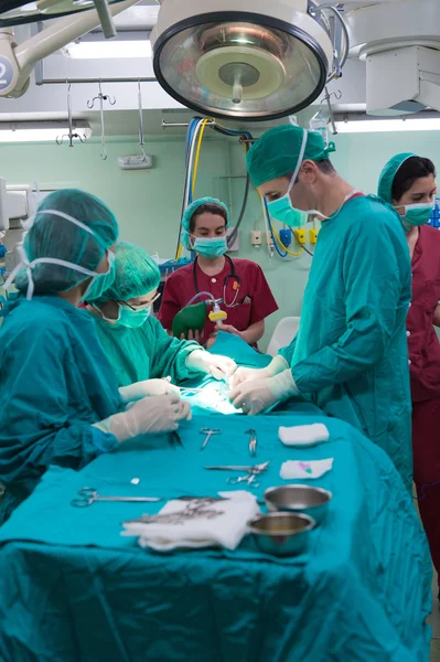 Surgery operation — Stock Photo, Image