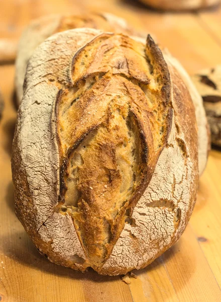 Handmade loafs in bakery — Stock Photo, Image