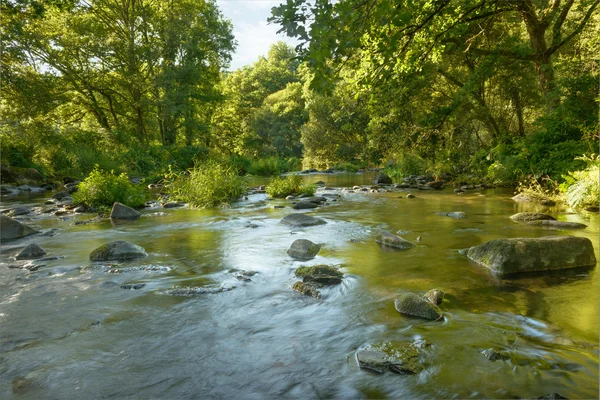 Flödande floden — Stockfoto