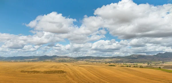 Sommerfelder — Stockfoto