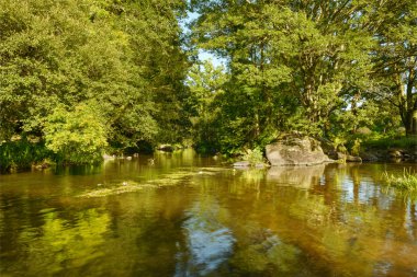huzurlu nehir manzara