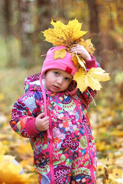 Meisje van de baby in herfst esdoorn bladeren — Stockfoto