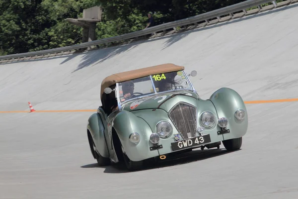 A green Healey 2400 westland nimmt am 1000 miglia Oldtimerrennen am 17. Mai 2015 auf der Rennstrecke von Monza teil. (mb) Das Auto wurde 1948 gebaut. — Stockfoto