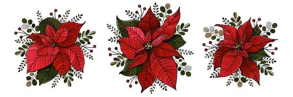 Decoración Navidad Con Flores Poinsettia Ilustración Vectorial Aislada Sobre Fondo — Vector de stock