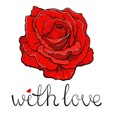 Üzerinde aşk el yazısı olan kırmızı bir gül. Beyaz arkaplanda vektör illüstrasyonu.