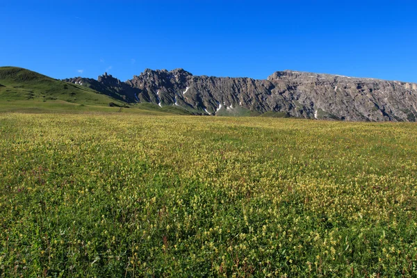 Seiser Alm — Foto de Stock