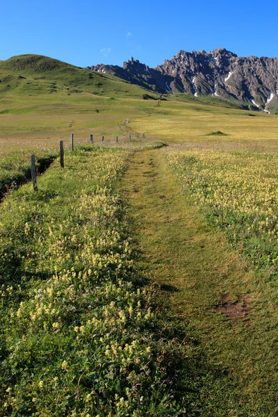 Seiser Alm — Stockfoto