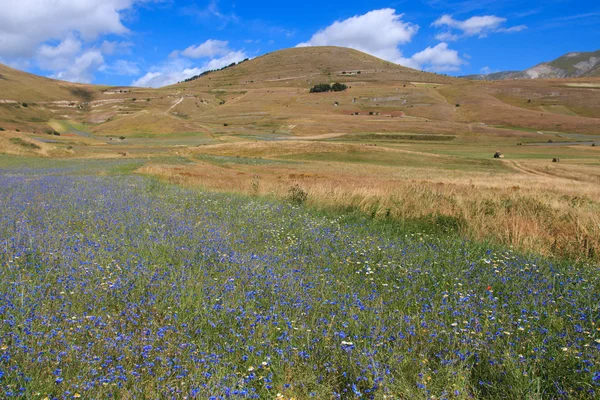 Castelluccio di Norcia — Stock Photo, Image