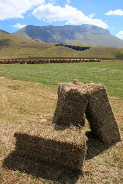 Castelluccio di Norcia — Stock Photo, Image