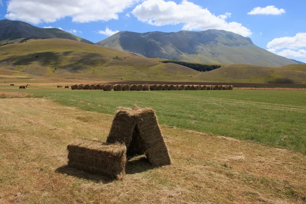 Castelluccio di Norcia — Stock Photo, Image